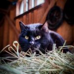 Fb Img 1761368615334