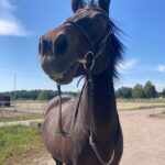 Fb Img 1761368640797